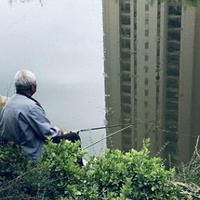 钓鱼通杀饵料系统：从复杂到极简的实战配方