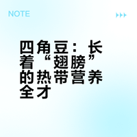 四角豆：长着“翅膀”的热带营养全才