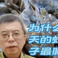 为什么春天的虾爬子最肥最好吃