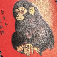 80猴票从12500元高位回落，下跌空间还有多大？