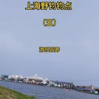 上海浦东宝藏野钓点分享：交通便利，鱼种丰富