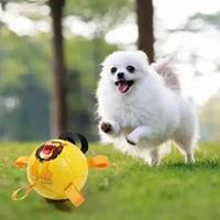 幼犬拆家怎么办？选对玩具这4点，新手也能轻松应对