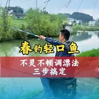 春季轻口鱼调漂指南：三步法解决空竿问题