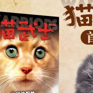 重返森林,感悟生命韧性