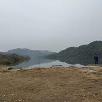 刘姨的无偿馈赠：基于自然循环的四季基础酵浆与活用方案