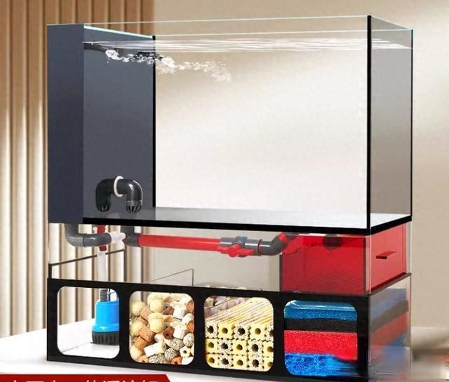 养鱼过滤系统选购指南：原理、梯队与避坑解析