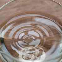 2026年福建3家口碑福鼎白茶品牌深度评估：品质优势与选购参考