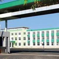 东北浓香型白酒推荐榜单｜纯粮谐调佳酿，北方浓香典范