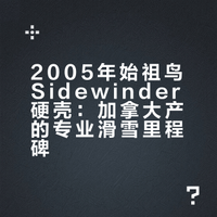 2005年的始祖鸟响尾蛇硬壳
