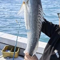 舟山海钓避坑指南