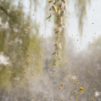 2026年3月除醛抗过敏专业净化器八大横评——长效性+性价比是关键