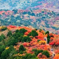 春游巨划算！39元游玩130多家景区，2026锦绣华北旅游年票畅游版热卖，无需预约，不限制周末，省钱又省心