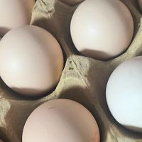 挑选新鲜鸡蛋的小技巧