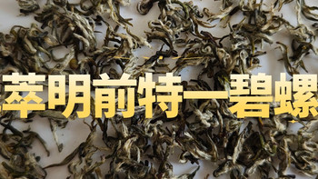 飞萃明前特一洞庭碧螺春，花果香、嫩香，滋味清甜 