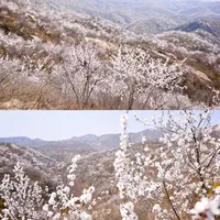 书画山-沙峪口|北京人不知道的私藏徒步线