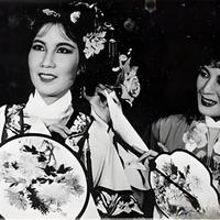 越剧“闪电小生”马樟花：21年的艺术绝响与改革先驱