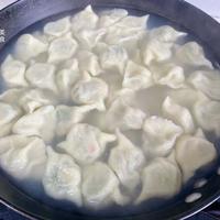 苋菜猪肉饺子制作指南：食材配比与实操详解