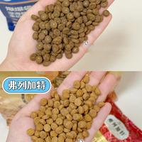 猫咪换季毛发干枯有皮屑|很可能是粮没选对
