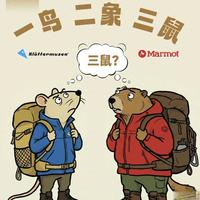 户外“鼠”位之争：土拨鼠与攀山鼠的品牌定位与产品力对比