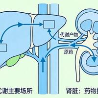 警惕！家中常备的10种中成药，乱吃反伤身