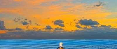 狐臭困扰不用愁！止汗露真的有用吗？两款实力派净味露推荐