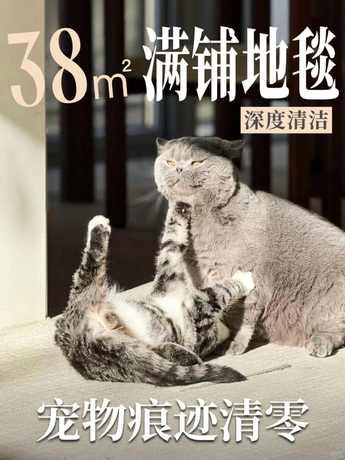 布艺毯类
