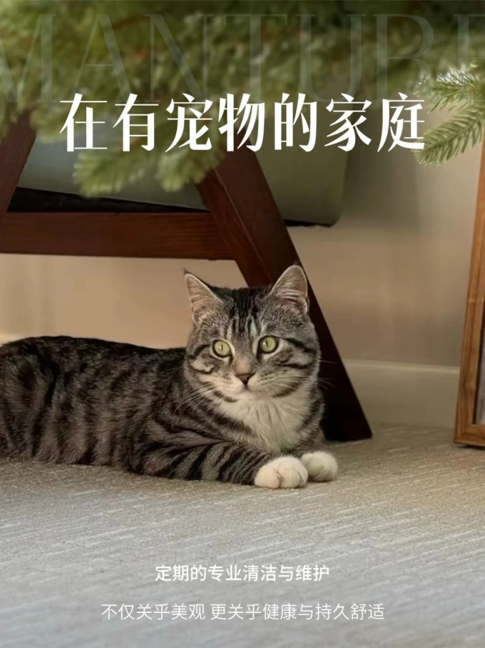 布艺毯类