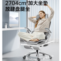 黑白调P2Pro人体工学椅电脑椅护腰办公椅人工力学电竞椅 购买分析