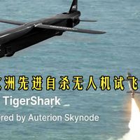 乌克兰战场启发欧洲，虎鲨无人机亮相！