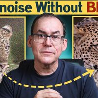 【搬运】【2026.03.22】我的专业技巧：消除ISO 12800图像中的噪点。【Simon d'Entremont】