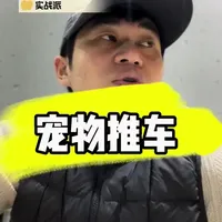 年增速超60%的百亿赛道：宠物推车市场分析与普通人入局机会