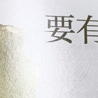 《要有光》这本书让我重新思考什么是“好妈妈”