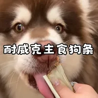 耐威克全价主食狗条新品发售：成分规格与活动信息概览