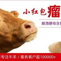 羊价“崩”了！羊肉暴跌？2026年全国行情交易发布···