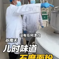 普通面粉与石磨面粉的工艺、营养与风味差异解析