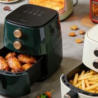 2026空气炸锅哪个牌子好？压箱好物分享：十大炙手可热品牌排行榜