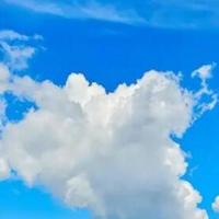 2000至2500元手机性价比推荐 这款全能机型闭眼选