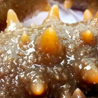 2026年中国海参品牌深度评测：十大品牌报告出炉