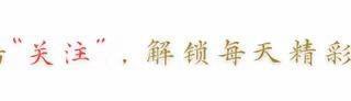 新手友好型蝴蝶兰选购指南：五大勤花品种深度解析