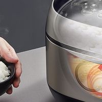 电饭煲哪款好用又省电？5款内行人自用省电电饭煲实测