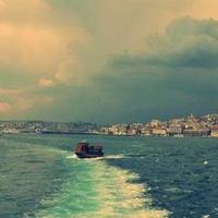 哪款血压计性价比最高？不同价位功能与精度对比