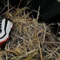 郭晶晶、贝佐斯穿千元HOKA火了，“丑鞋”凭什么成为中产的标配？