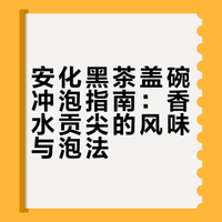 手把手教会安化黑茶盖碗泡法！甜柔不苦涩！