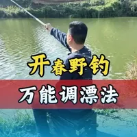 开春野钓调漂全解析：重铅找底与精准调目实操指南