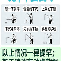 🎣 新手必看的钓鱼小技巧！