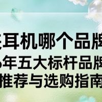 耳夹耳机哪个品牌好？2026 年五大标杆品牌实测推荐与选购指南