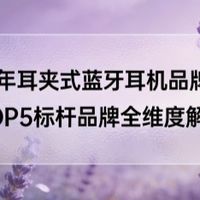 2026年耳夹式蓝牙耳机：TOP5标杆全维度解析