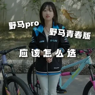 喜德盛野马青春版与野马Pro的核心差异及选购指南