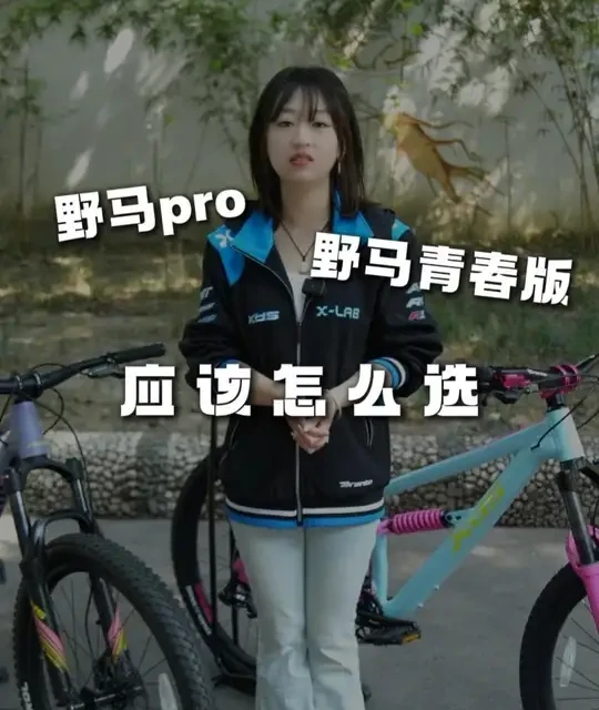 喜德盛野马青春版与野马Pro的核心差异及选购指南