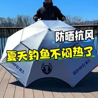 智飞2026新款钓伞实测：防晒抗风性能解析